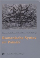 Rolan Schmidt-Riese, Roland Schmidt-Riese, Elisabeth Stark, Elizabeth Stark, Stoll, Eva Stoll - Romanische Syntax im Wandel