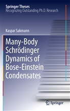 Kaspar Sakmann - Many Body Schrödinger Dynamics of Bose-Einstein Condensates