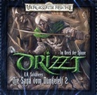 R A Salvatore, Robert A. Salvatore, Tobias Meister, Elga Schütz - Drizzt, Die Saga vom Dunkelelf, Audio-CDs - 2: Im Reich der Spinne, 1 Audio-CD (Audio book)