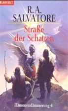 Robert A. Salvatore - Straße der Schatten