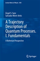 Salvador Miret-Artés, Ángel Sanz, Ángel S Sanz, Ángel S. Sanz, Angelo Sanz - A Trajectory Description of Quantum Processes - 1: A Trajectory Description of Quantum Processes. I. Fundamentals
