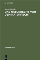Merio Scattola - Das Naturrecht vor dem Naturrecht
