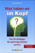 Hans Schachl - Was haben wir im Kopf?