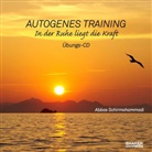 Abbas Schirmohammadi - Autogenes Training, Audio-CD (Hörbuch)