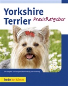 Rudolf Schliesser - Yorkshire Terrier