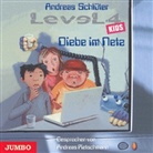 Andreas Schlüter, Peter G. Dirmeier - Diebe im Netz, 1 Audio-CD (Audio book)