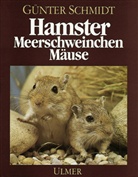 Günter Schmidt - Hamster, Meerschweinchen, Mäuse und andere Nagetiere