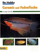 Jürgen Schmidt - Guramis und Fadenfische