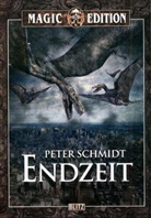 Peter Schmidt - Endzeit