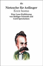 Rüdiger Schmidt, Cord Spreckelsen - Nietzsche für Anfänger