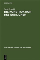 Sarah Schmidt - Die Konstruktion des Endlichen