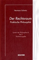 Hermann Schmitz - System der Philosophie - 3/3: Der Raum. Tl.3