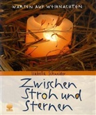 Isabella Schneider - Zwischen Stroh und Sternen