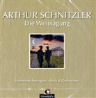 Arthur Schnitzler, Josef Tratnik - Die Weissagung, 1 Audio-CD (Hörbuch)
