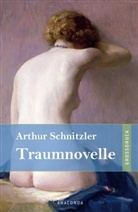 Arthur Schnitzler - Traumnovelle, Großdruckausgabe