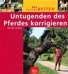Britta Schön - Untugenden des Pferdes korrigieren