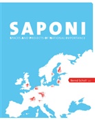 Bernd Scholl, Bernd Scholl - SAPONI - Spaces and Projects of National Importance