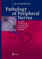 J. M. Schröder - Pathology of Periphal Nerves