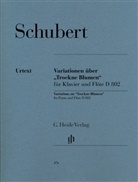 Franz Schubert, Wolf-Dieter Seiffert - Franz Schubert - Variationen über "Trockne Blumen" e-moll op. post. 160 D 802
