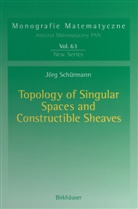 J. Schürmann, Jörg Schürmann - Topology of Singular Spaces and Constructible Sheaves