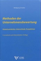 Wolfgang Schultze - Methoden der Unternehmensbewertung