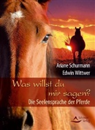 SCHURMAN, Arian Schurmann, Ariane Schurmann, Wittwer, Edwin Wittwer - Was willst du mir sagen?