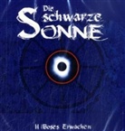 Harald Halgarth, Christian Stark - Die schwarze Sonne, Audio-CDs - 2: Böses Erwachen, 1 Audio-CD (Audiolibro)