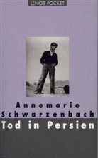 Roger Perret, Annemarie Schwarzenbach, Roger Perret - Tod in Persien