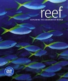 Scubazoo - Reef