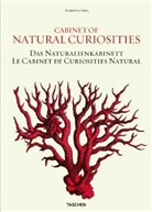 Irmgard Msch, Irmgard Müsch, Jes Rust, Albertus Seba, Rainer Willmann - 25 cabinet of natural curiosities