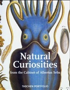Albertus Seba - Natural curiosities from the