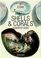Irmgard Muesch, Albertus Seba - Shells and corals albertus seba