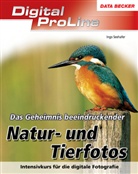 Ingo Seehafer - Das Geheimnis beeindruckender Natur- und Tierfotos