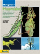 Sven Bradler, Rainer Koch, Christoph Seiler - Phasmiden