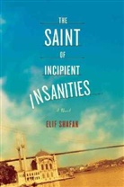 Elif Shafak, Elit Shafak - Saint fo Incipient Insanities