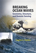 Eugene Sharkov, Eugene A Sharkov, Eugene A. Sharkov - Breaking Ocean Waves