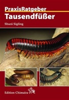 Shura Sigling, Shurá Sigling - Tausendfüßer
