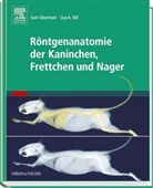 Sa Silverman, Sam Silverman, Lisa A Tell, Lisa A. Tell, Silverma, Tel - Röntgenanatomie der Kaninchen, Frettchen und Nager