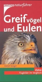 Detlef Singer - Greifvögel und Eulen