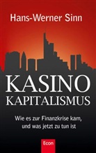 Hans-Werner Sinn - Kasino-Kapitalismus