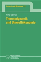 Fritz Söllner - Thermodynamik und Umweltökonomie