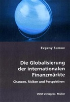 Evgeny Somov - Die Globalisierung der internationalen Finanzmärkte