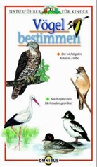 Karel Stastny - Vögel bestimmen