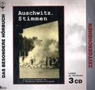 Ronald Steckel - Auschwitz, Stimmen, 3 Audio-CDs (Hörbuch)