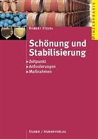 Robert Steidl - Schönung und Stabilisierung