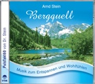 Arnd Stein - Bergquell, 1 CD-Audio (Hörbuch)