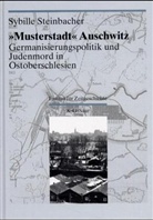Sybille Steinbacher - Darstellungen und Quellen zur Geschichte von Ausch - Band 2: "Musterstadt" Auschwitz