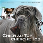 Niccel Steinberger, Niccel Steinberger - Chien au Top cherche Job
