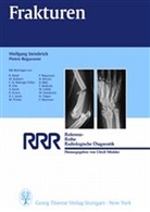 Michael Bohnert, Carlos H. Buitrago-Tellez, Pietro Regazzoni, Wolfgang Steinbrich, Wolfgang von Steinbrich - Frakturen und Luxationen