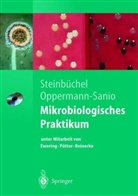 Fred B. Oppermann-Sanio, Alexander Steinbüchel - Mikrobiologisches Praktikum, m. CD-ROM